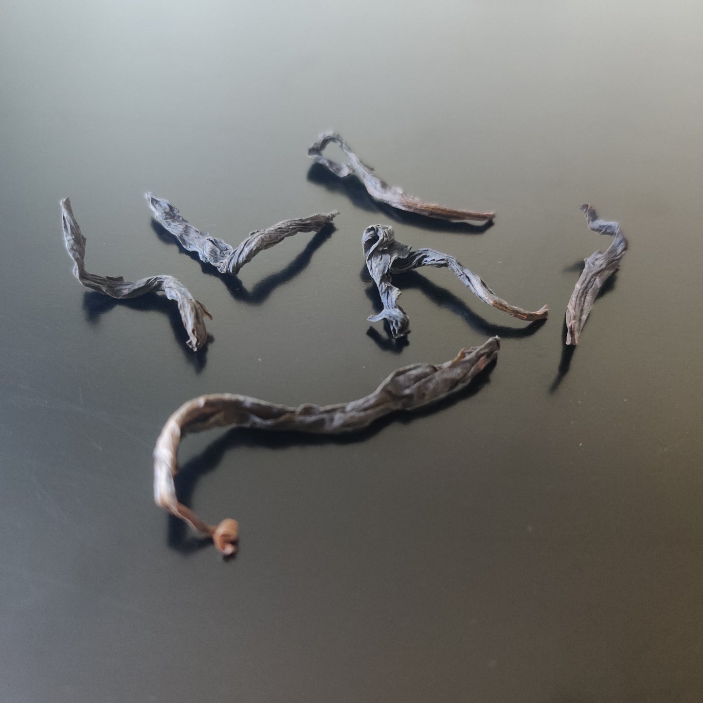 Wild High Mountain Old Grove Shui Xian (Mid-High Roast) 高山荒野老从水仙