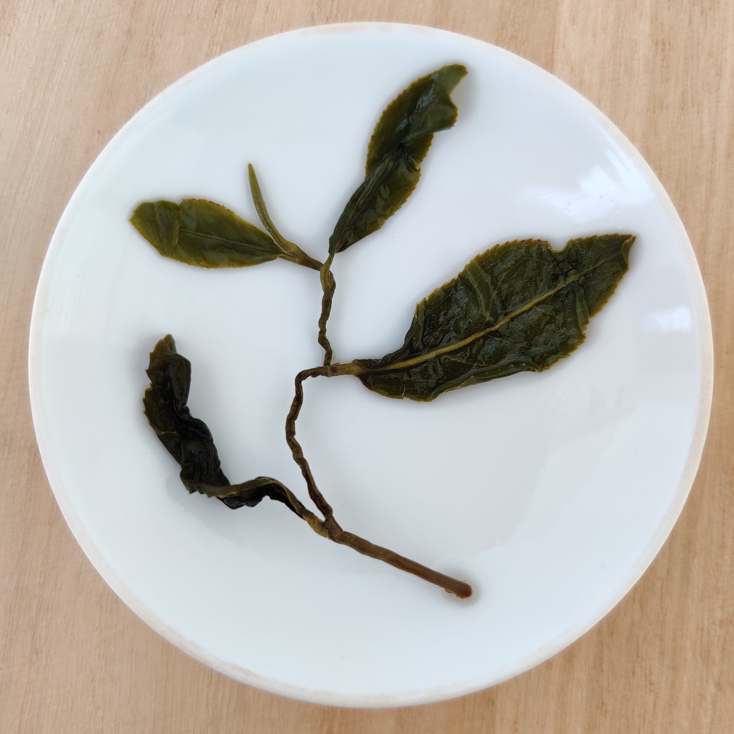 Alishan High Mountain Oolong