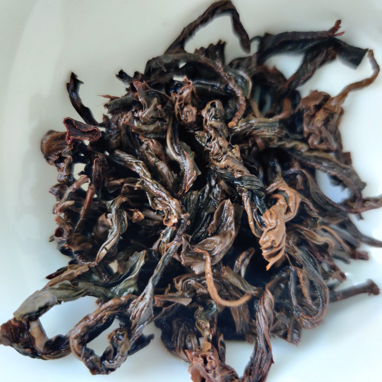 Abandoned Garden "Cloud & Mist" Black Tea
