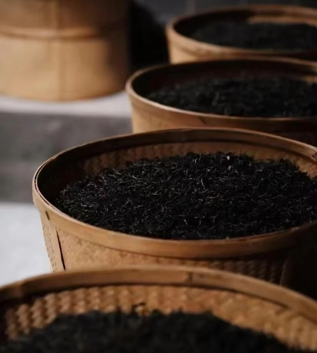 Old Grove Mei Zhan Yancha 老从梅占正岩茶 2023