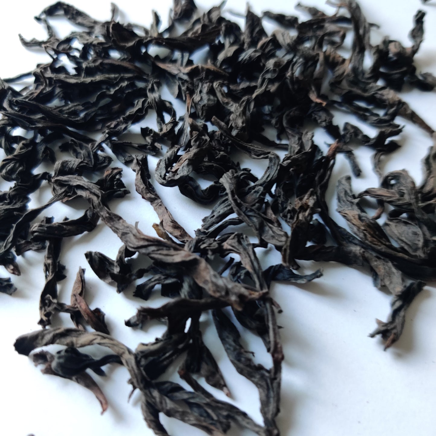 Classic Shui Xian Cliff Oolong 2024